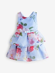 Baker by Ted Baker Floral Striped Dress - Image 7 of 10