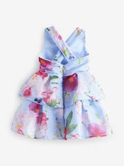 Baker by Ted Baker Floral Striped Dress - Image 8 of 10