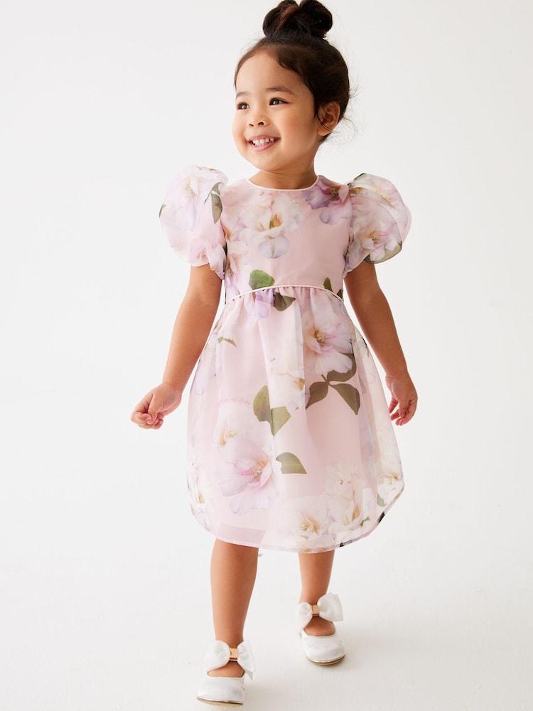 Floral Midi Botani Ted Baker Pink Midi Dress Buy Baker By Ted