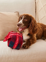 Red Check Christmas Present Pet Toy - Image 1 of 4
