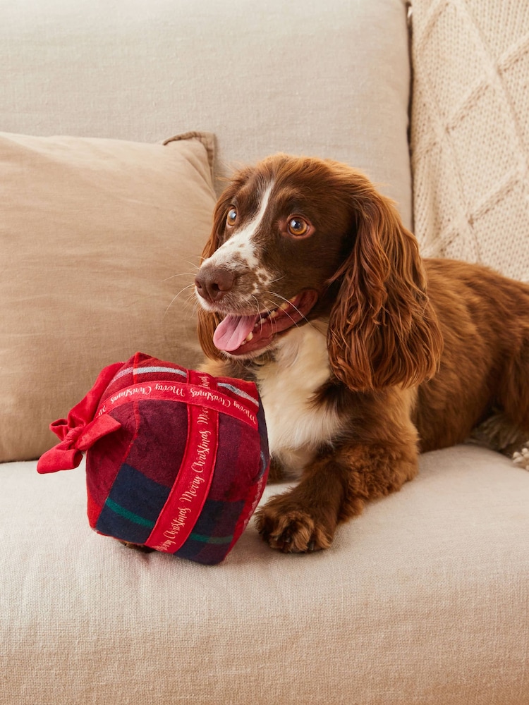 Red Check Christmas Present Pet Toy - Image 1 of 4