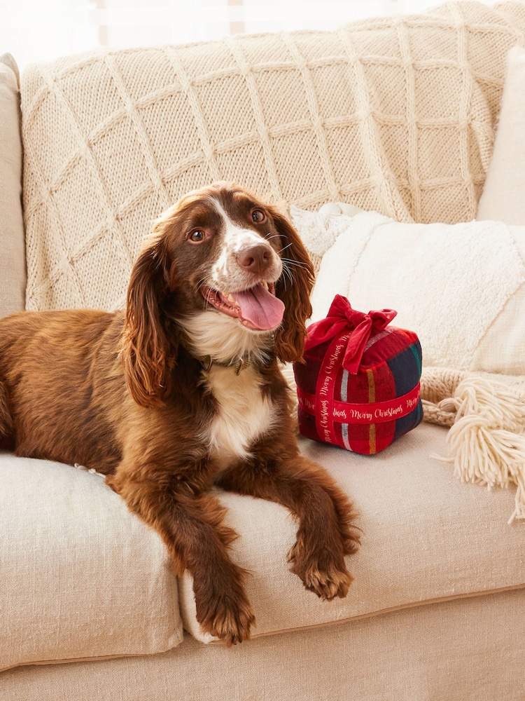 Red Check Christmas Present Pet Toy - Image 2 of 4