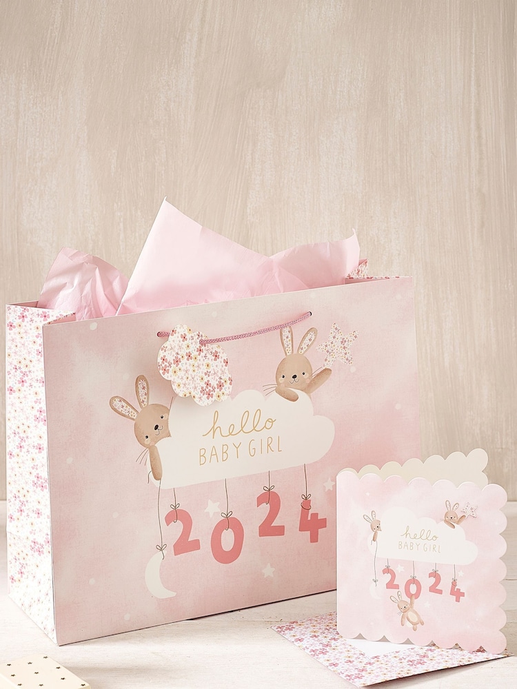 Pink Girl Born in 2024 Gift Bag and Card Set - Image 1 of 4