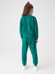 Reebok Green Junior 100% Cotton Sweatshirt and Joggers Set - Image 5 of 11