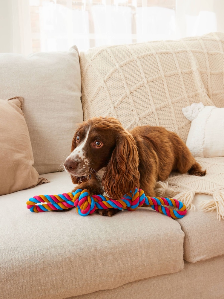 Multicoloured Double Knot Rope Pet Toy - Image 1 of 4