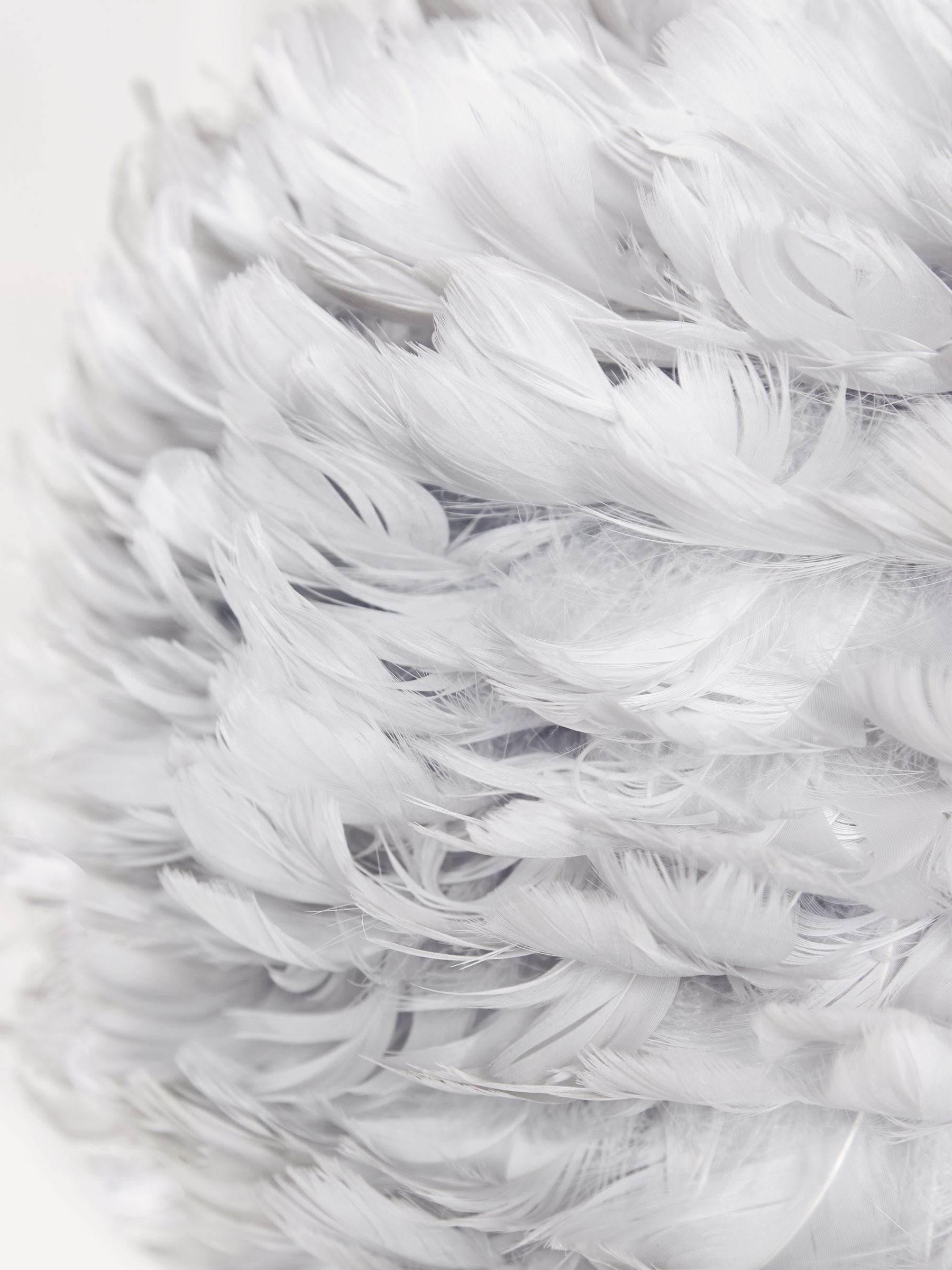 Next lipsy feather shade discount