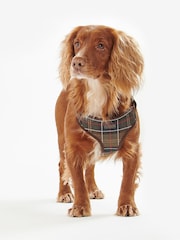 Barbour® Khaki Green Classic Tartan Dog Travel Harness and Lead - Image 8 of 9