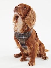 Barbour® Khaki Green Classic Tartan Dog Travel Harness and Lead - Image 9 of 9