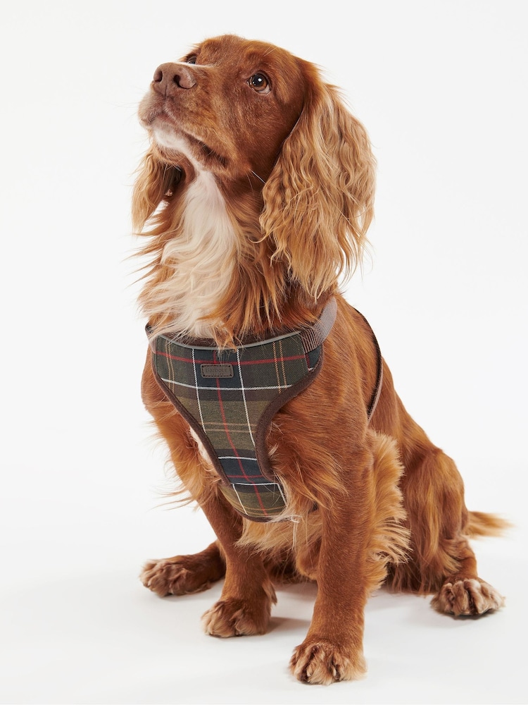 Barbour® Khaki Green Classic Tartan Dog Travel Harness and Lead - Image 9 of 9