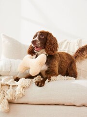Neutral Soft Bone Pet Toy - Image 2 of 5