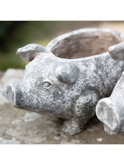 Gallery Home White Small Pig Planter - Image 5 of 13