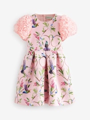 Baker by Ted Baker Floral Ruffle Sleeve Scuba Dress - Image 6 of 9