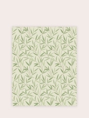 Laura Ashley Hedgerow Willow Leaf A4 Wallpaper Sample - Image 1 of 1