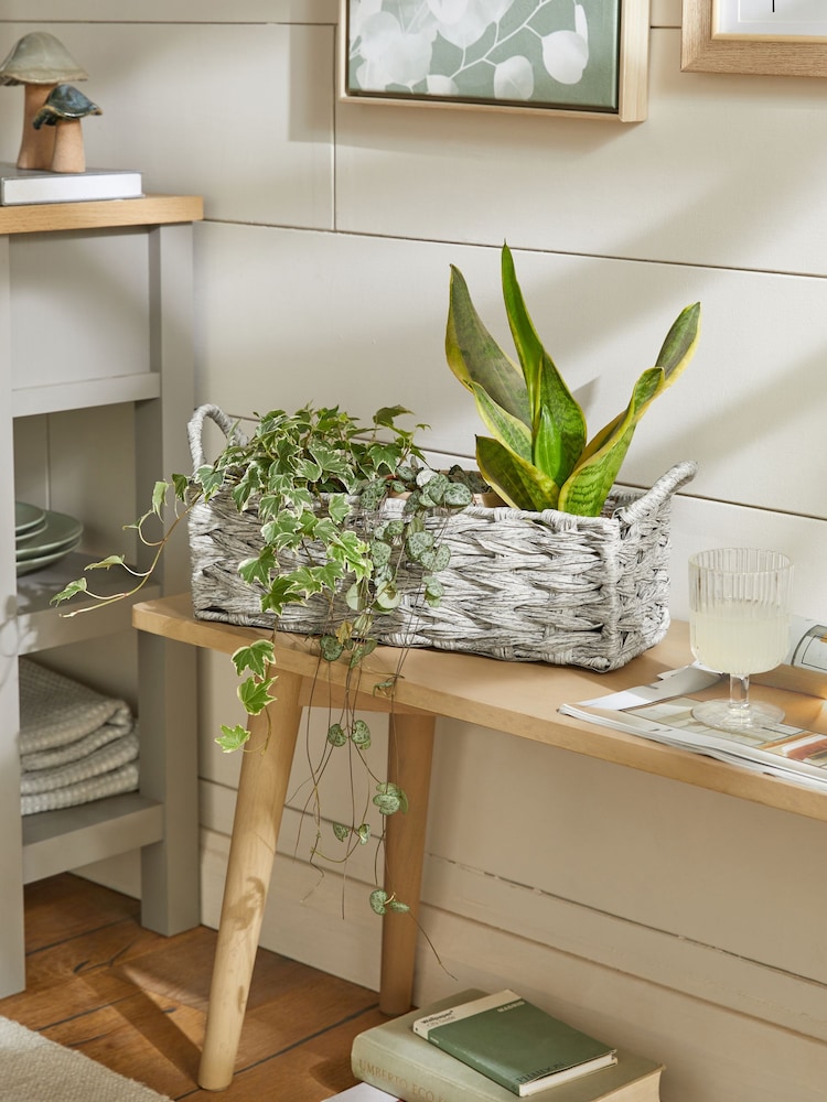 Grey Plastic Wicker Small Storage Basket - Image 1 of 4