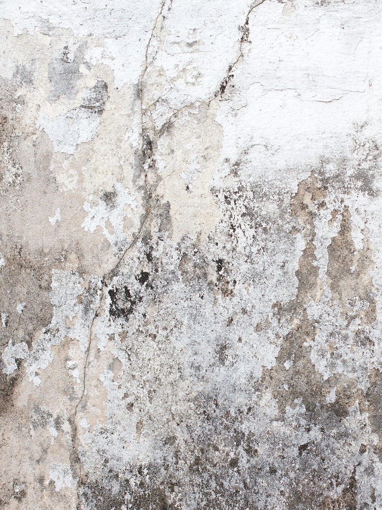 Eighty Two Grey Exclusive To Next Distressed Replica Wall Mural - Image 2 of 2