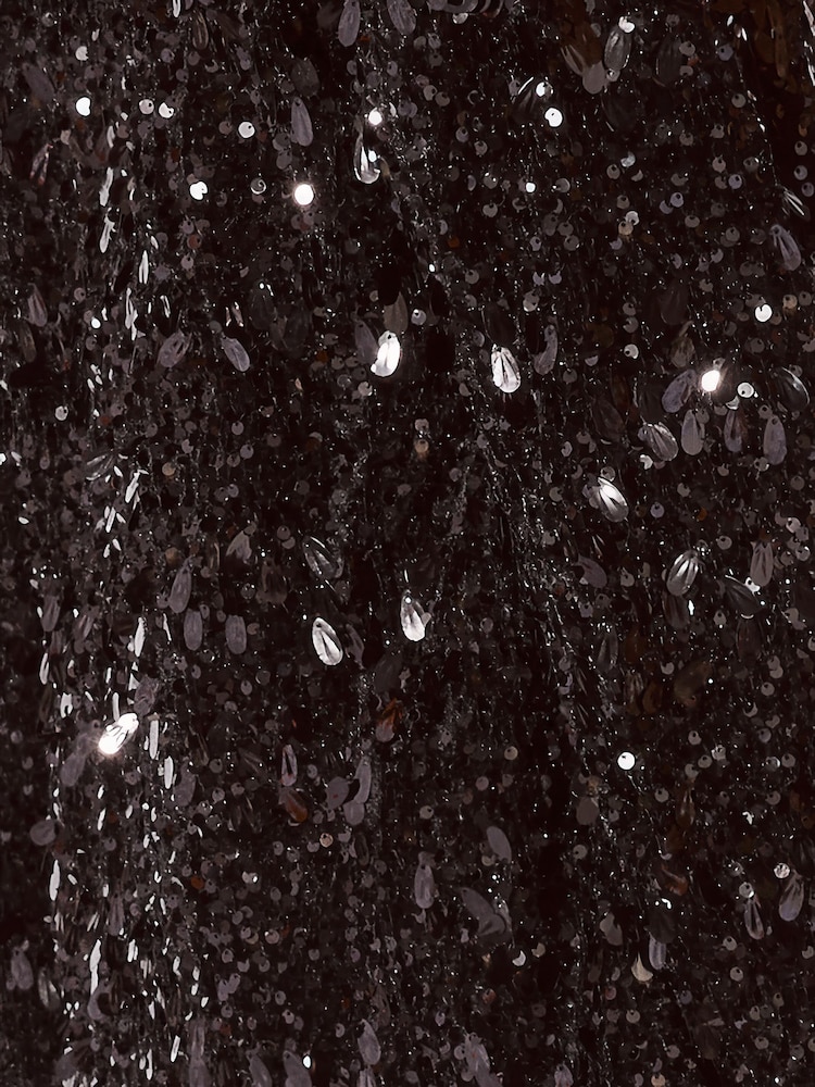 Lipsy Velvet Sequin Jacket - Изображение 6 6