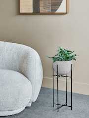 Libra Interiors White Samui White Stonewash Planter on Stand Small 55cm - Image 1 of 6
