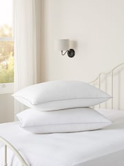 Set of 2 Super Firm 100% Cotton Duck Feather And Down Pillows - Image 1 of 2