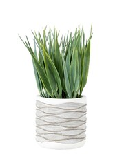 Gallery Home Set of 2 Green Grass in Wavy Pots - Image 1 of 1
