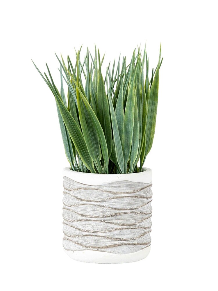 Gallery Home Set of 2 Green Grass in Wavy Pots - Image 1 of 1