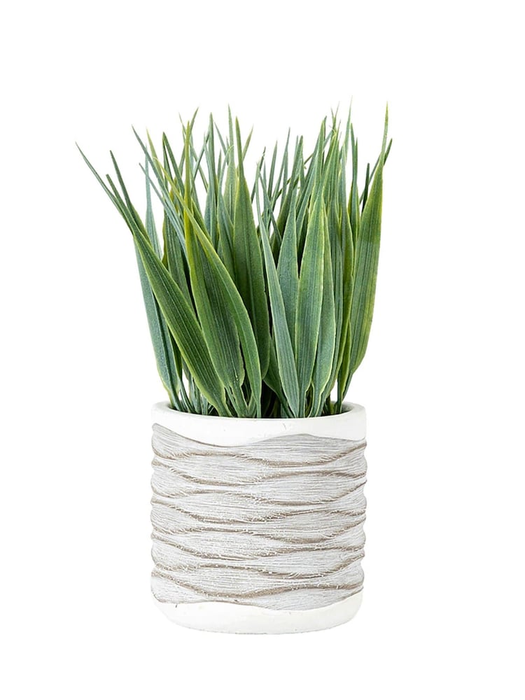 Gallery Home Set of 2 Green Grass in Wavy Pots - Image 1 of 1 Gallery Home Set of 2 Green Grass in Wavy Pots - Image 1 of 1