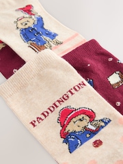 Paddington Bear Licensed Ankle Socks 4 Pack - Image 7 of 7