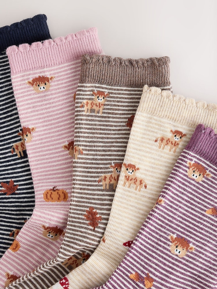 Autumn Hamish The Highland Cow Ankle Socks 5 Pack - Image 8 of 8 Autumn Hamish The Highland Cow Ankle Socks 5 Pack - Image 8 of 8