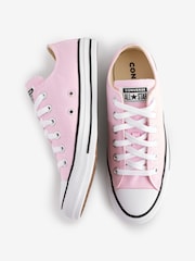 Converse Light Pink Chuck Taylor All Star Ox Low Trainers - Image 6 of 9