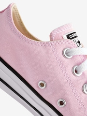 Converse Light Pink Chuck Taylor All Star Ox Low Trainers - Image 9 of 9