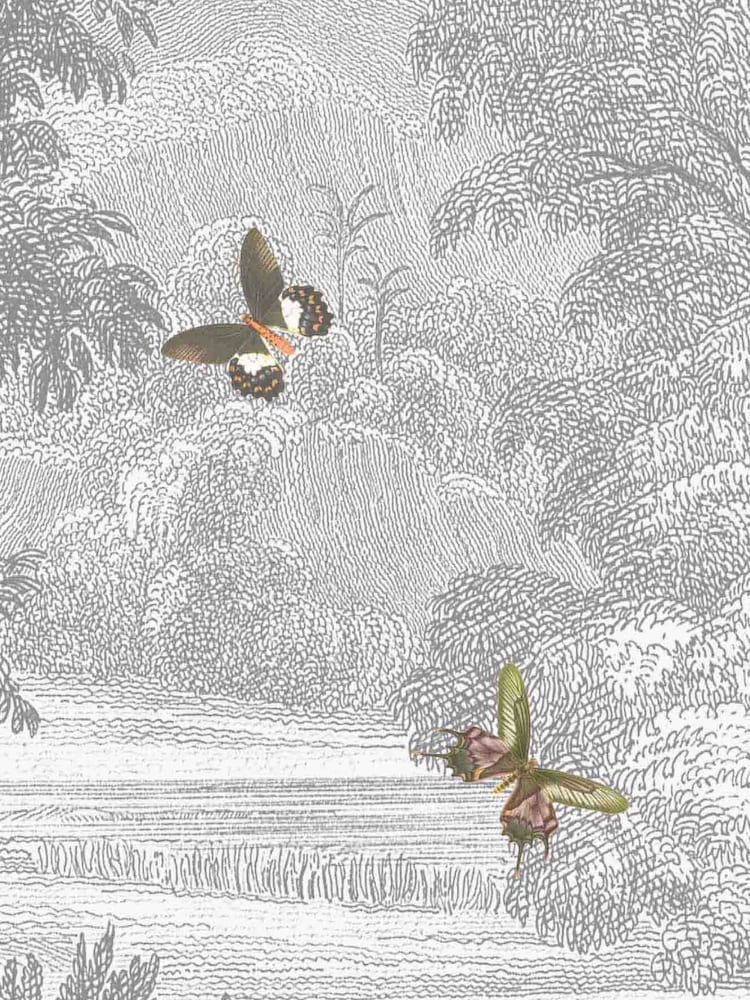 Woodchip & Magnolia Grey Land of Milk & Honey Butterflies Wallpaper - Image 3 of 3