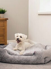 Bunty Silver Bellagio Crushed Velvet Dog Bed - Image 1 of 4