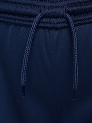 Nike Blue Jr. FC Barcelona 24/25 Home Stadium Football Shorts - Image 7 of 7
