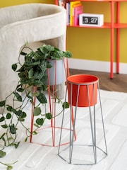 Present Time Mouse Grey Bright Scarlet Red Plant Cool Pot Set - Image 1 of 3