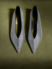 CERENE Silver Delphine Pointed Toe Ballet Flats - Image 1 of 4