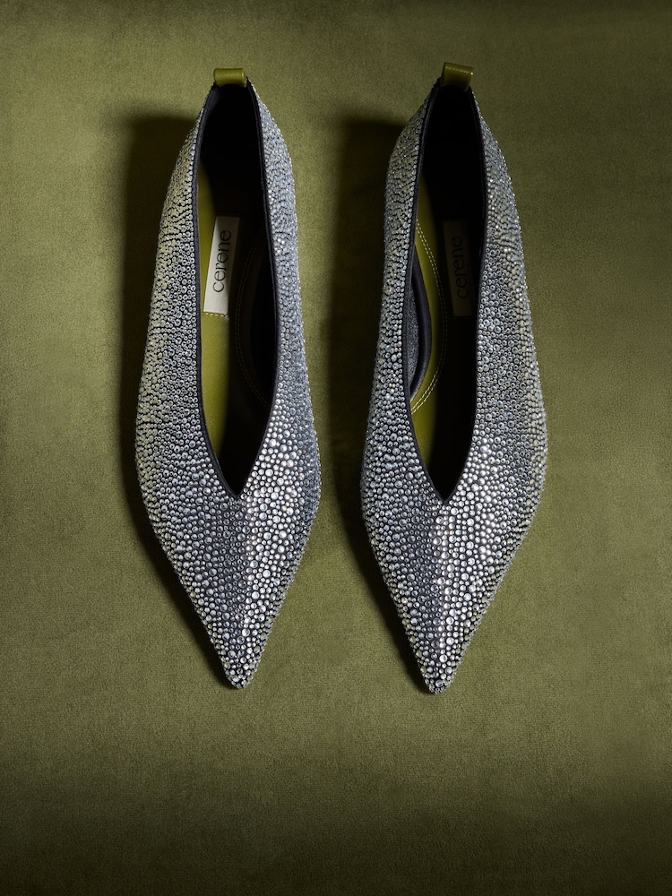 CERENE Silver Delphine Pointed Toe Ballet Flats - Image 1 of 4