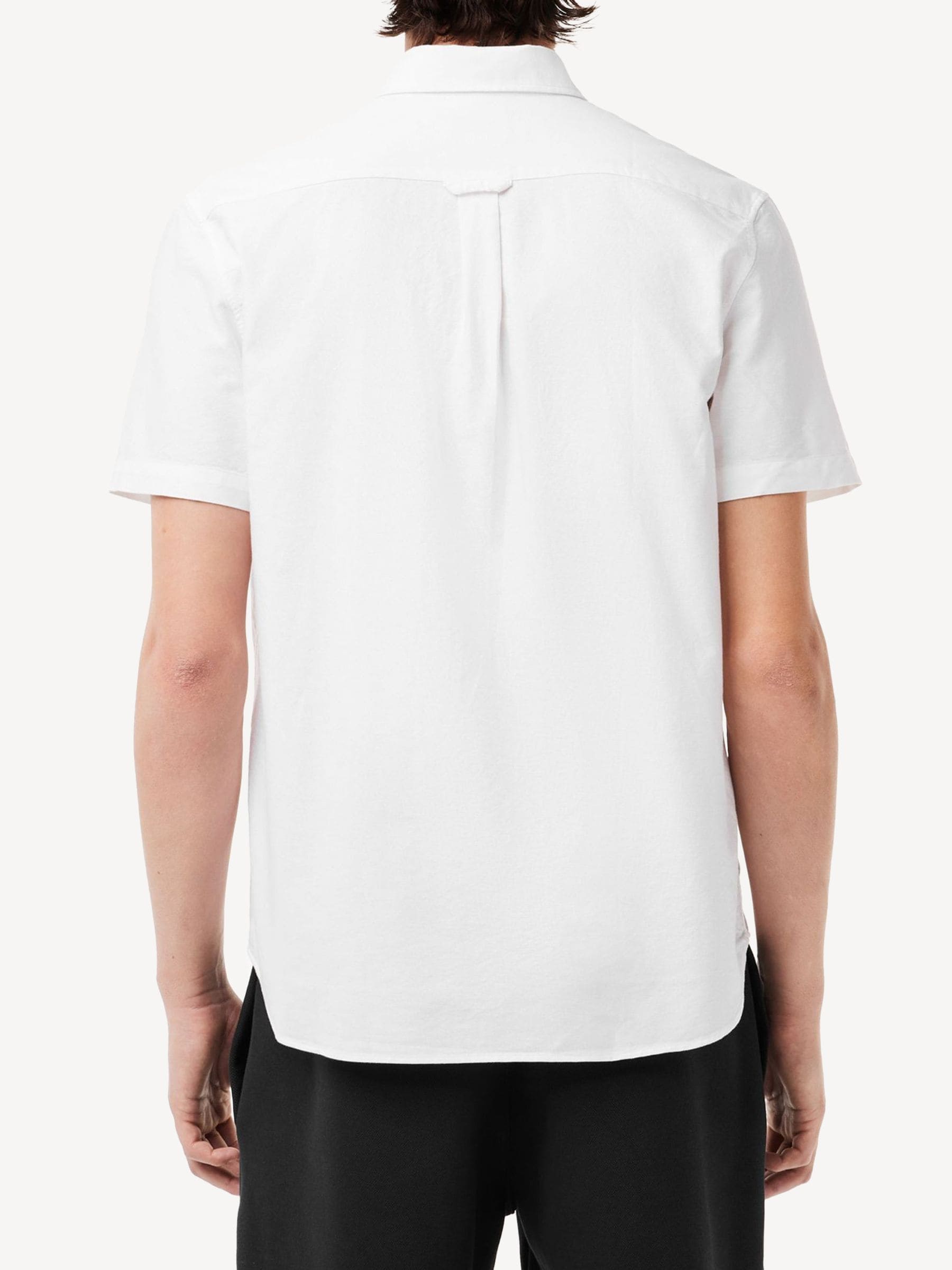 Lacoste short sleeve oxford shirt shop