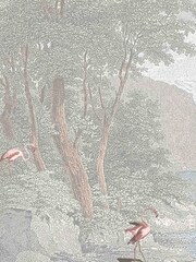 Woodchip & Magnolia Grey Flamboyance Flamingos Mural Wallpaper - Image 3 of 4