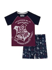 Character Purple/Blue Harry Potter Pyjamas - Image 1 of 4