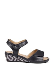 Van Dal Black Dual Strap Leather Sandals - Image 1 of 5