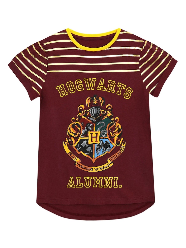 Character Brown Harry Potter Printed Dipped Back Hem T-Shirt - Image 2 of 3