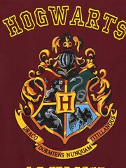 Character Brown Harry Potter Printed Dipped Back Hem T-Shirt - Image 3 of 3