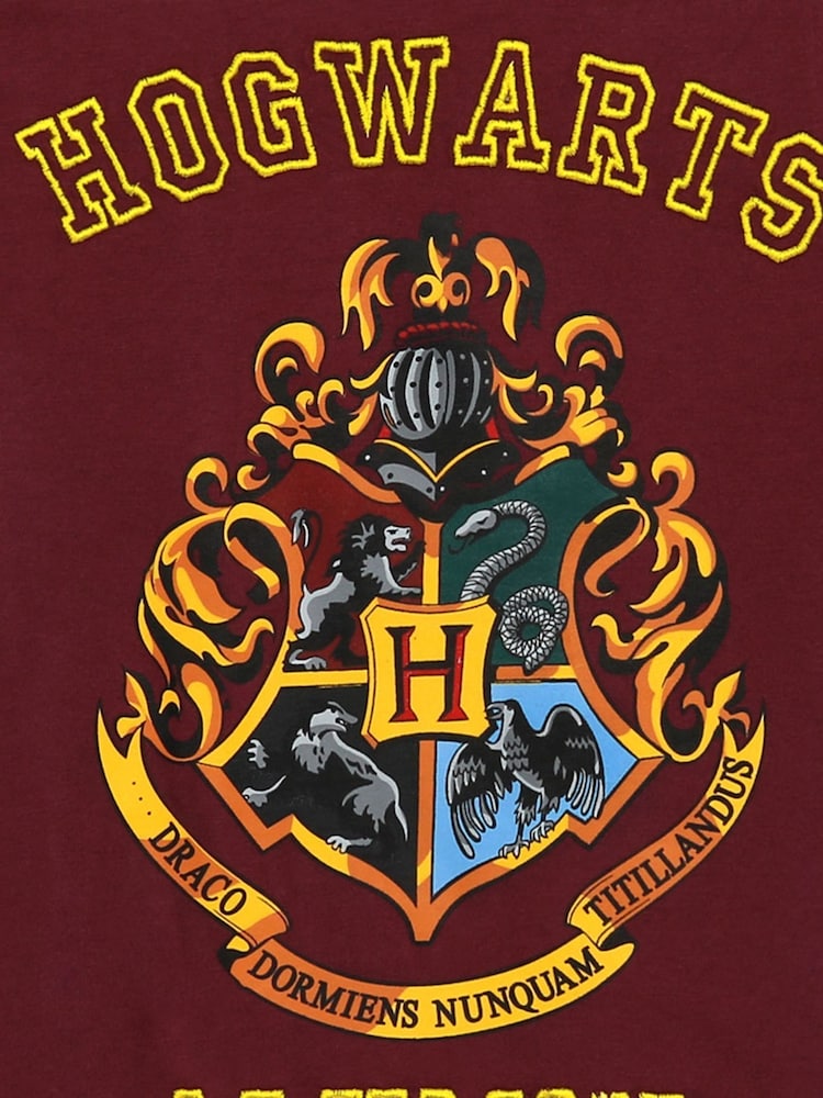 Character Brown Harry Potter Printed Dipped Back Hem T-Shirt - Image 3 of 3