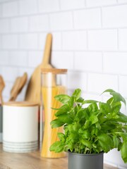 Typhoon Grey Two Monochrome Herb Planters - Image 2 of 2