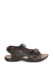 Regatta Dark Brown Comfort Fit Haris Sandals - Image 2 of 4