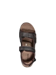 Темно-коричневый - Regatta комфортные сандалии Haris - Изображение 9 12