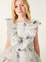 Baker by Ted Baker Floral Burnout Frilled Dress - Image 5 of 11