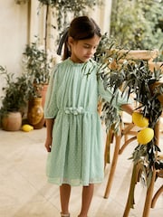 Mint Green Chiffon Corsage Dress (3-16yrs) - Image 1 of 8