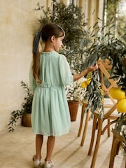 Mint Green Chiffon Corsage Dress (3-16yrs) - Image 4 of 8