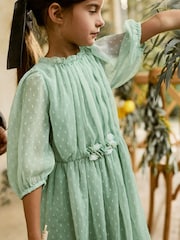 Mint Green Chiffon Corsage Dress (3-16yrs) - Image 5 of 8