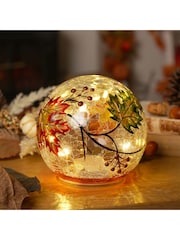 Country Living Clear Leaf LED Light Up Orb - Image 1 of 6